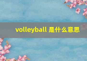 volleyball 是什么意思